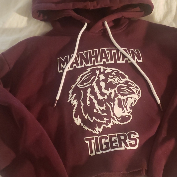 🐯 Burgundy Manhattan tigers XS cropped hoodie - Picture 2 of 3